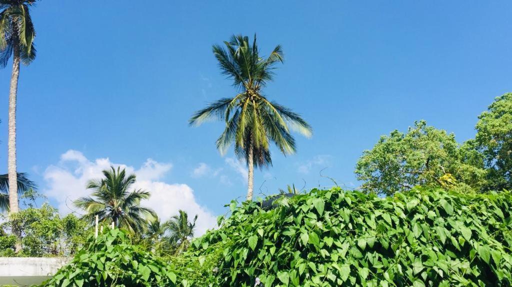 Villa Out Of Rupeace Unawatuna Exterior foto